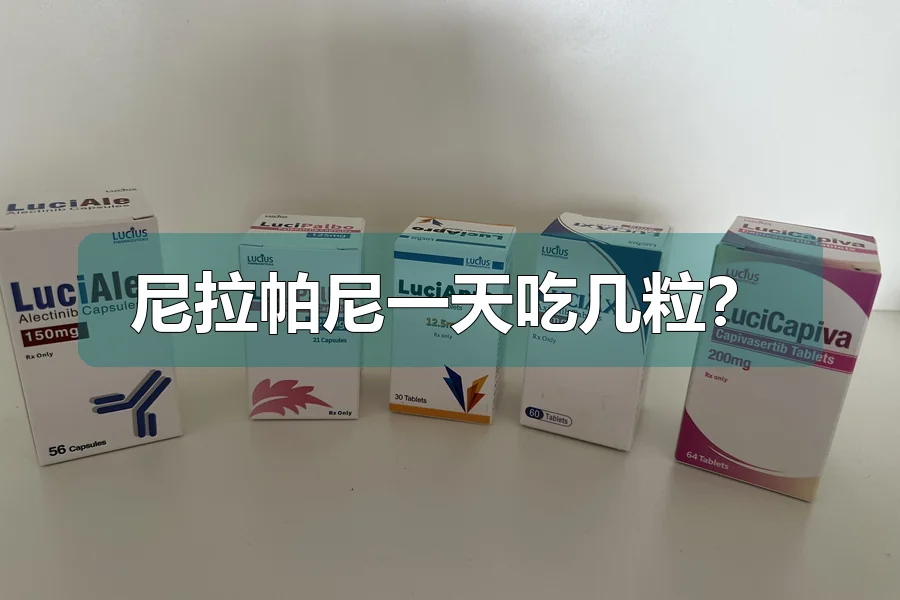 尼拉帕尼一天吃几粒？